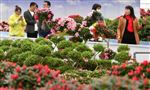 福建永福：花卉產業助增收